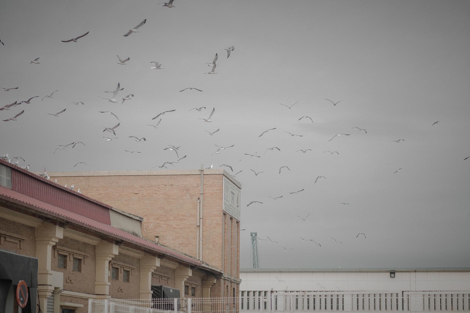 12240297_439730069566309_7112873131017753920_o