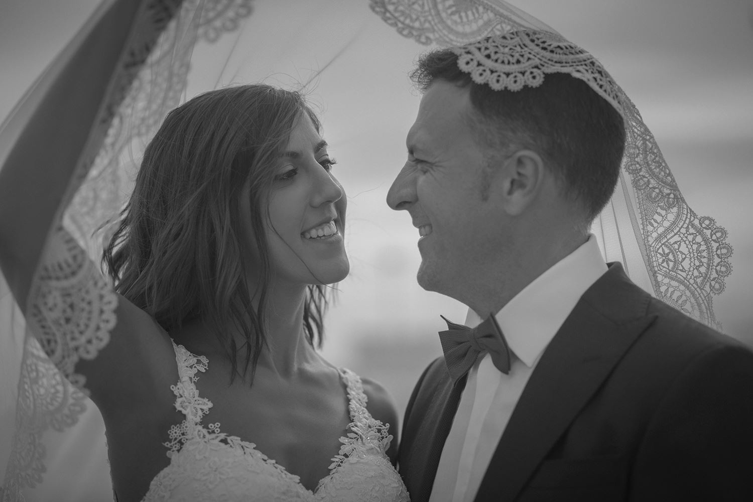 905940_439729602899689_142928412471494145_o